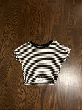Zara Black and White Striped Crop Top